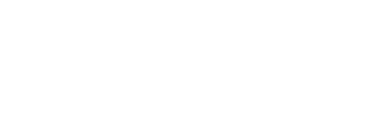 VANTAGE GLOBAL