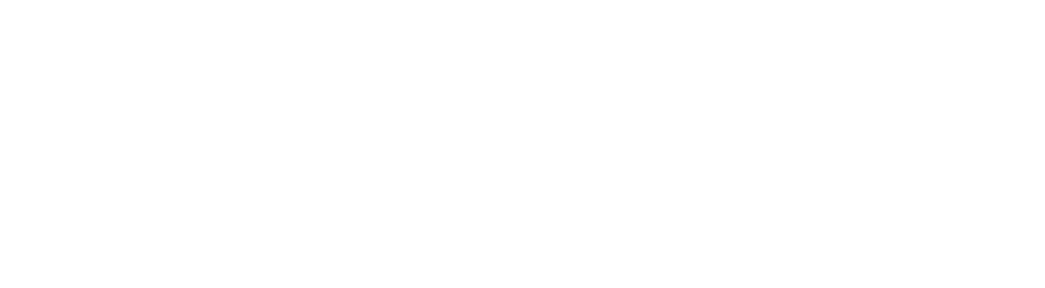 VANTAGE EDULINK