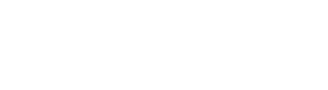 VANTAGE HOME