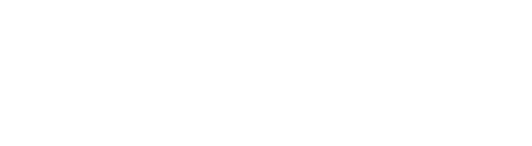 VANTAGE LAND